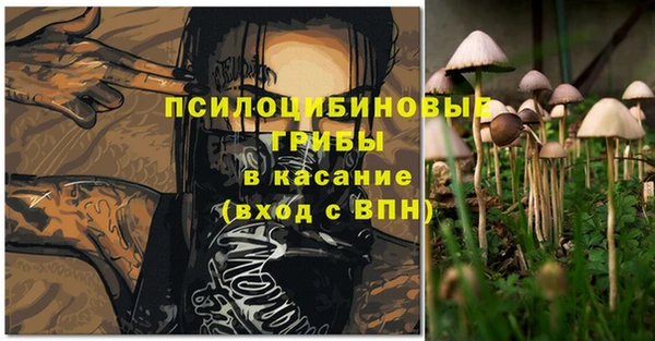 дживик Алексин