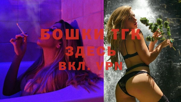 дживик Алексин