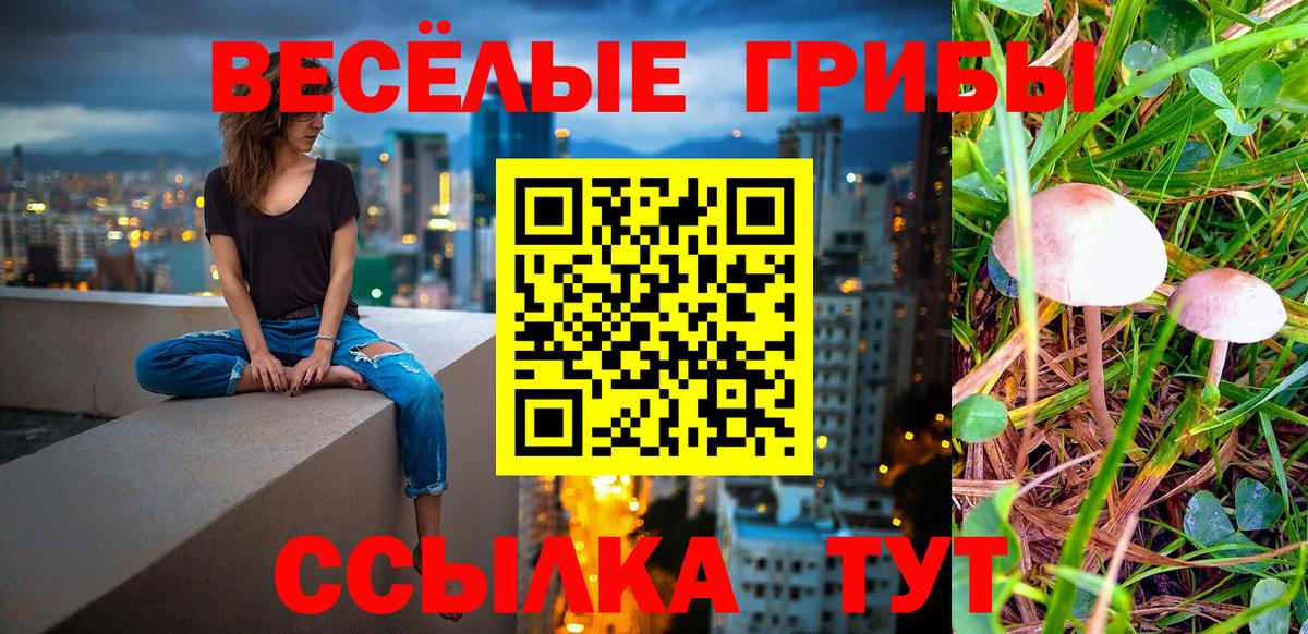Псилоцибиновые грибы мухоморы Курганинск